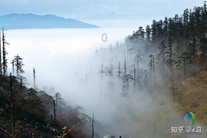 冬训不停歇,山东女足青年队力求全运新突破